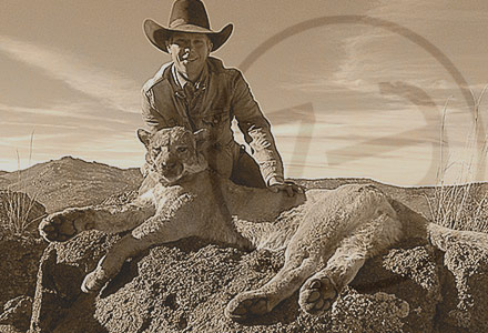 cowboy az mountain lion Photos